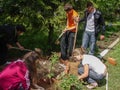 The work of pupils on the school grounds in the Kaluga region in Russia.