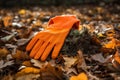 Work seasonal foliage autumn pile gardening cleaning fall rake tool leaves Royalty Free Stock Photo