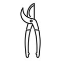 Work secateur icon outline vector. Garden shears