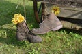 Work shoes used as a flower pot