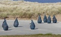 The Conversation, South Shields