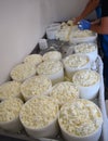 Work table in rural cheese factory cheese makers breaking up the curd and placing it in the molds to make the cheeses.