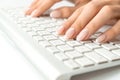 Work woman. Female online work female. Hand typing on desktop office computer keyboard. Woman using laptop. Blogger Royalty Free Stock Photo