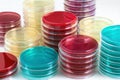 Workbench of laboratory with petri dishes stacked for culture Royalty Free Stock Photo