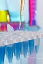 Laboratory pipette with drop of blue reagent over tubes rack Royalty Free Stock Photo