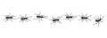 Worker ants trail line flat style design vector illustration isolated on white background.