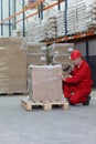 Worker with bar code reader working in warehouse Royalty Free Stock Photo