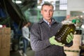 Worker checking plastic bottles with olive oil Royalty Free Stock Photo