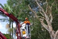 Worker on cherry picker with chainsaw Royalty Free Stock Photo