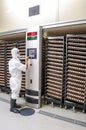 Worker at a chicken egg hatchery inspecting the conditions Royalty Free Stock Photo