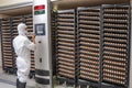 Worker at a chicken egg hatchery inspecting the conditions Royalty Free Stock Photo