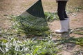 Worker cleaning green grass in ranch farm