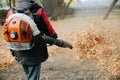 Worker cleaning lawn in park from Dead Leaves using gas powered Leaf Blower