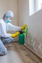 Worker of cleaning service removes the mold using spray bottle with mold removal products Royalty Free Stock Photo