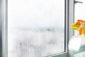 Worker cleaning soap suds on glass window with squeegee and rag Royalty Free Stock Photo