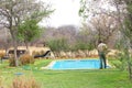 Worker cleaning swimming pool lodge, Namibia Royalty Free Stock Photo