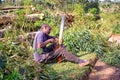 A worker cleans the teeth of a chain saw