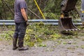 Worker clears tree debris from road