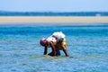 Worker collecting mussels in Mozambique coast