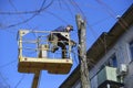 Worker cutting dead standing tree with chainsaw using truck-mounted lift