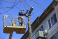 Worker cutting dead standing tree with chainsaw using truck-mounted lift