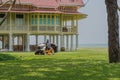 Worker cutting grass lawn mower in green field in garden .Beautiful house background Royalty Free Stock Photo