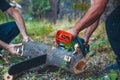 worker cutting trees in a park with a chainsaw Royalty Free Stock Photo