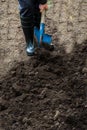 Worker digs the black soil with shovel in the vegetable garden Royalty Free Stock Photo