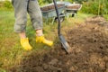 Worker digs the black soil with shovel in the vegetable garden, woman farmer loosens dirt in the farmland, agriculture Royalty Free Stock Photo