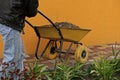 Worker driving a yellow wheelbarrow with sand on the sidewalk near the wall in the garden