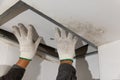 Worker fix is leaking pipe in ceiling ,close-up of a stain on the ceiling. Royalty Free Stock Photo