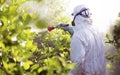 Worker Fumigating Plantation Of Lemon Trees In Spain