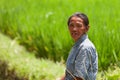 Worker in green rice field Royalty Free Stock Photo