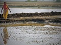 Worker in the Gujarati salt flats, India