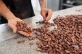 Worker hand sorting cocoa beans in an artisanal chocolate factory