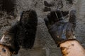 Worker hands in gloves with brush in bitumen mastic Royalty Free Stock Photo