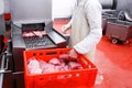 Worker hands holding a raw cuts of meat, introduced into an introductory washing in the meat production Royalty Free Stock Photo