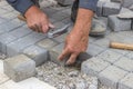 Worker hands laying concrete brick pavers Royalty Free Stock Photo