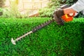 Worker hands pruning bushes with the garden gasoline scissors. Work in the garden, pruning the hedge