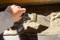 Worker hands using spatula and plastering ceiling with putty. Mesh on split. Closeup Royalty Free Stock Photo