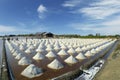 Worker Harvesting salt in salt field