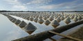 Worker Harvesting salt in salt field