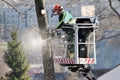 The worker with helmet working at height on the trees