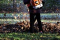 worker with industrial vacuum cleaner collect fallen maple and oak leaves in a heap