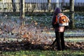 worker with industrial vacuum cleaner collect fallen maple and oak leaves in a heap