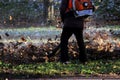 worker with industrial vacuum cleaner collect fallen maple and oak leaves in a heap