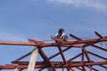 worker installing structure of roof steel for new house at construction site Royalty Free Stock Photo