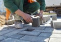 A worker lays concrete paving slabs. Royalty Free Stock Photo