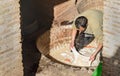 Worker in the Leather traditional tannery. Fez, Morocco Royalty Free Stock Photo