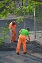 Worker leveling fresh asphalt